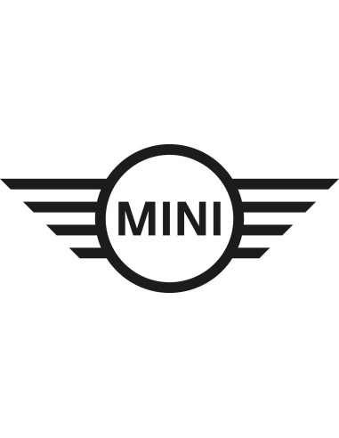 Collecteur d'échappement pour MINI N14 John Cooper Works